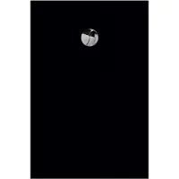 Allibert - Douchebak - Karbon 120 X 80 Cm - Polybeton - Zwart