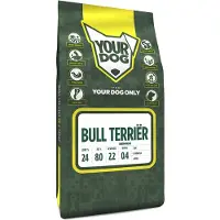 Yourdog Bull terrir senior