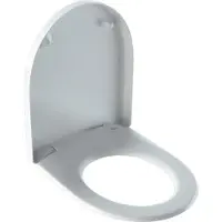 Geberit 300 Basic 300 toiletzitting - met deksel - glans wit
