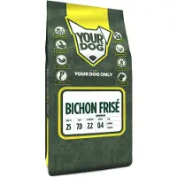 Yourdog Bichon fris senior