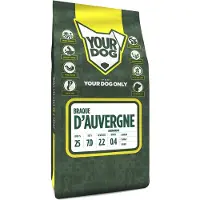 Yourdog Braque d'auvergne senior
