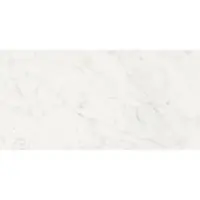 Floorgres Tegel 60 x 120 cm - Wit - Porcellanato - Rechthoekig - 2 stuks - 1,44 m2 - Natuursteenlook - Wandtegels - Tegels - 761172