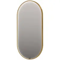 Ink SP28 Spiegel Ovaal In Kader 50x100cm Directe LED - Geborsteld Mat Goud - Glas - Ovaal - Spiegels, Badkamerspiegels - 8718835161989