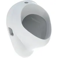 Geberit Bastia Urinoir Boveninlaat Wit