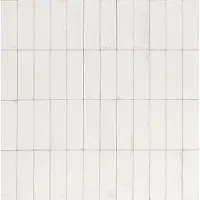 Ragno Tegel 5 x 15 cm - Bianco - Keramiek - Rechthoekig - 108 stuks - 0,81 m2 - Vintage - Wandtegels - Tegels - R8HM