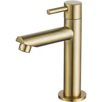 FortiFura Calvi Fonteinkraan - 14.4cm - opbouw - 1gats - PVD - geborsteld Messing SW696238