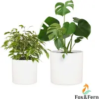 Blumfeldt Gendt bloempot buitenpot set van 2 2 formaten L/XL vezelsteen binnen/buiten