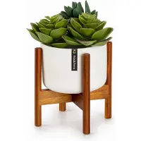 Fox & Fern Thorn bloempot met standaard in jaren 50 stijl 2 formaten