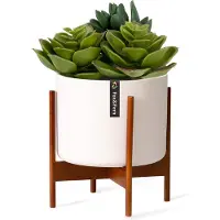 Fox & Fern Thorn bloempot met standaard in jaren 50 stijl 2 formaten