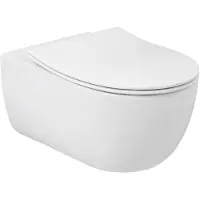 Plieger Nola/Kansas Slim Toiletbril - D-Vorm WC Bril - Duroplast - Mat Wit - Met Deksel - Softclose - RVS bevestiging