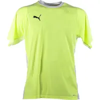 Puma Teamliga Short Sleeve T-shirt Geel M Man
