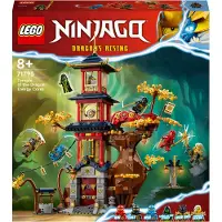 LEGO NINJAGO - Tempel van de Drakenkracht (71795, LEGO Ninjago)