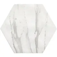 Fap Ceramiche Tegel 20 x 25 cm - Wit - Keramiek - Zeshoekig - 29 stuks - 1,18 m2 - Marmerlook - Wandtegels - Tegels - JB11425-1