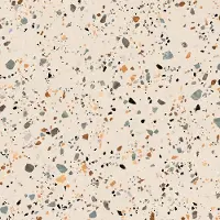 Prissmacer Cerámica Gobi wand- en vloertegel - 60x60cm - 10mm - Vierkant - gerectificeerd - Terrazzo - Creme mat SW07312440-4