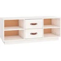 The Living Store Televisiemeubel Grenenhout - TV-kast - 100x34x40 cm - Wit