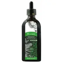 Lymeherbs Andrographis alcoholvrij extract (200ml)