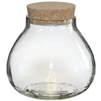Ideas 4 Seasons Ideas4seasons Pot/vaas van glas voor planten ecosysteem - deksel met LED verlichting - D15 x H14 cm - Vazen