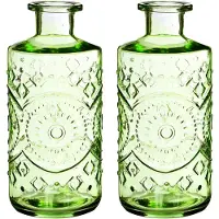 Ideas 4 Seasons Ideas4seasons Bloemenvaas/flesvaas Berlin - 2x - met motief - helder glas - lichtgroen - D9 x H21 cm - Vazen