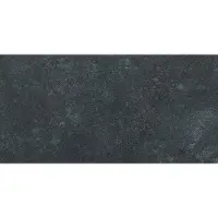 Navale Ficie vloertegel 30x60cm antraciet glans gerectificeerd