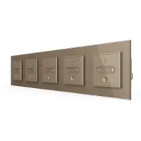 Livolo | Goud | SR+SR+SR+SR+SR | Slide-Dimmer | Smart Home - Bekijk