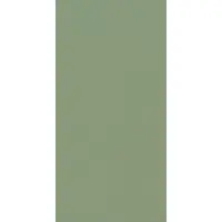 Cir Tegel 60 x 120 cm - Green - Keramiek - Rechthoekig - 2 stuks - 1,44 m2 - Universeel - Vloertegels - Wandtegels - Tegels - 1074144