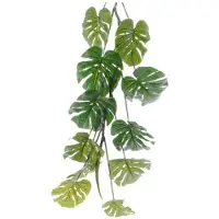Ksd Monstera plastic l23b56h110cm groen