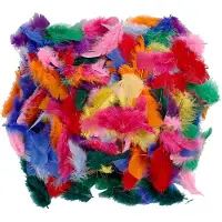 Creativ Company Gekleurde Veren 50 gr