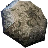 R&B ´pauw´ Automatische Luxe Paraplu - Stormparaplu – Opvouwbaar & Windproof - Ø 100 cm