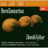 OUTHERE Various Artists - Horn Concertos (CD)