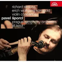 OUTHERE Pavel Šporcl, Prague Symphony Orchestra - Violin Concertos (CD)