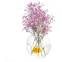 Balvi Atlantis Fish Vase Transparant