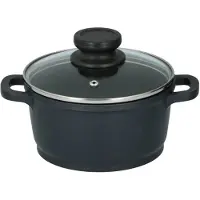 Alpina Kookpan - Ø16cm - 1,3 L - Alle Warmtebronnen - Met Deksel - Zwart