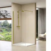 Van Rijn Inloopdouche products vaste wand 39-41x200 cm helder glas en gouden muurprofiel