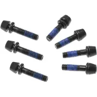Ritchey Set van 7 Stalen Torx Schroeven voor Superlogic C260 Stuurpen