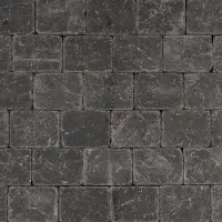 Intergard Trommelstenen of koppelstones zwart 21x14x6cm (m2)