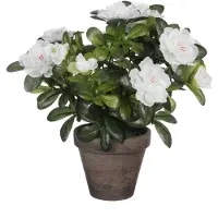 Mica Decorations Kunstplant - Azalea - groen/wit - 27 cm - Met mooie bloemen