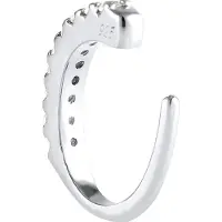 Elli Oorbellen zilver