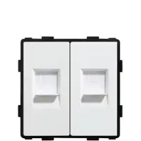 Perfect Switches MODULE | WIT | NETWERK | TWEEVOUDIG | RJ45 | CAT6