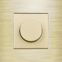 Perfect Switches MECHANISCHE SCHAKELAAR | ALUMINIUM | GOUD | DIMMER | SCHAKELAAR