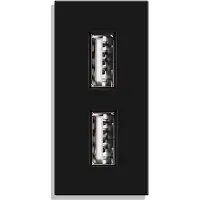 Perfect Switches MODULE | 1/2 | ZWART | USB | ENKELVOUDIG