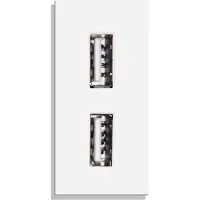 Perfect Switches MODULE | 1/2 | WIT | USB | ENKELVOUDIG