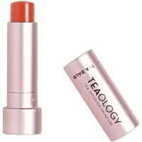 Teaology Gezichtsverzorging Lip Balm 4 g