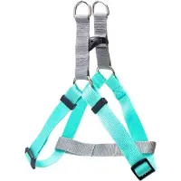 Nobleza Y Tuig hondje - Hondentuig - Instaptuigje - Tweekleurig - Fluorescerend - Maat S - Mint / grijs