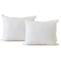 Eleganzzz Hoofdkussen 100% kapok - Hoofdkussen 60x70cm - 2 Stuks Hoofdkussens - Set van 2 Kussens