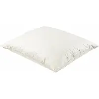 Eleganzzz Hoofdkussen 100% kapok - Hoofdkussen 60x70cm - Kussen