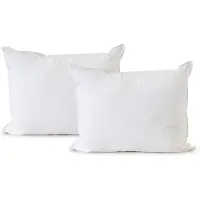 Eleganzzz Hoofdkussen Latex - Hoofdkussen 60x70cm - 2 Stuks Hoofdkussens - Set van 2 Kussens