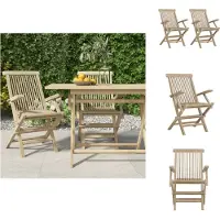 vidaXL Tuinstoel - Tuinstoelen - Campingstoel - Terrasstoel - Tuinstoelen inklapbaar 2 st 56x61x89 cm massief teakhout grijs
