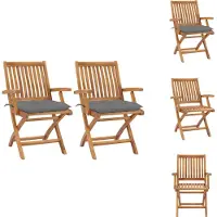 vidaXL Terrasstoelen - Houten - Grijs kussen - Inklapbaar - Set van 2 - Tuinstoel