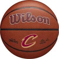 Wilson Basketbal