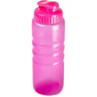 PlasticForte Drinkfles/waterfles/bidon - 650 ml - transparant/roze - kunststof